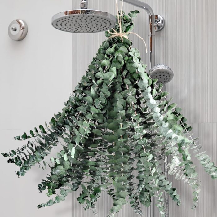 24 Pcs Dried Eucalyptus for Shower Hanging - 17'' Real Large Preserved Eucalyptus Stems Green Home Decor, 100% Made from Fresh Eucalyptus Leaves, Bathroom Shower Decor, Wedding, DIY