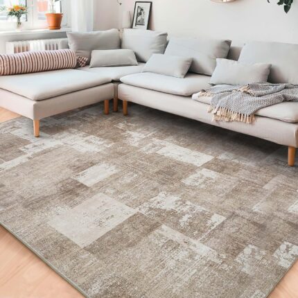 Area Rug Living Room Rugs: 5x7 Indoor Soft Small Low Pile Carpet Abstract Decor Large Washable for Bedroom Dining Room Under Kitchen Table Home Office - Beige/Ivory