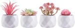 CADNLY Small Fake Desk Plant – Pink Desk Decor for Women - Artificial Succulent Plants - Faux Succulents in White Ceramic Pots – Mini Pink Succulent Decor for Bedroom Bathroom Bookshelf Office