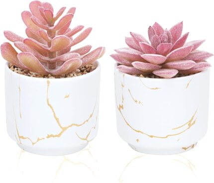 CEWOR 2pcs Succulents Plants Artificial Pink Office Decor for Women, Fake Succulents in Ceramic Pots, Fake Plants for Bathroom Desk Home Decoration Office Supplies