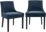 COLAMY HY-T89-Blue Modern Dining Chairs, Set of 2, Blue