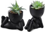 Der Rose Set of 2 Fake Plants Artificial Succulent Plants for Office Desk Accessories Black Bathroom Home Room Aesthetic Decor Indoor